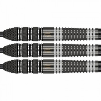 Raymond van Barneveld Echo 95% Swiss 25g Steeltip