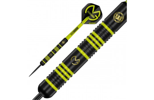 MvG Michael van Gerwen Ambition Steel tip 22g