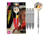 Dimitri Van den Bergh 90% G1 Swiss 21g Steeltip