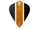 Vision 100 Ultra Player Kite RVB Stripe